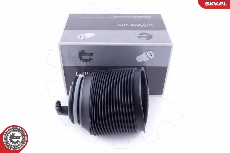Air Spring, suspension 58SKV006