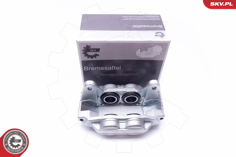 Brake Caliper 42SKV171