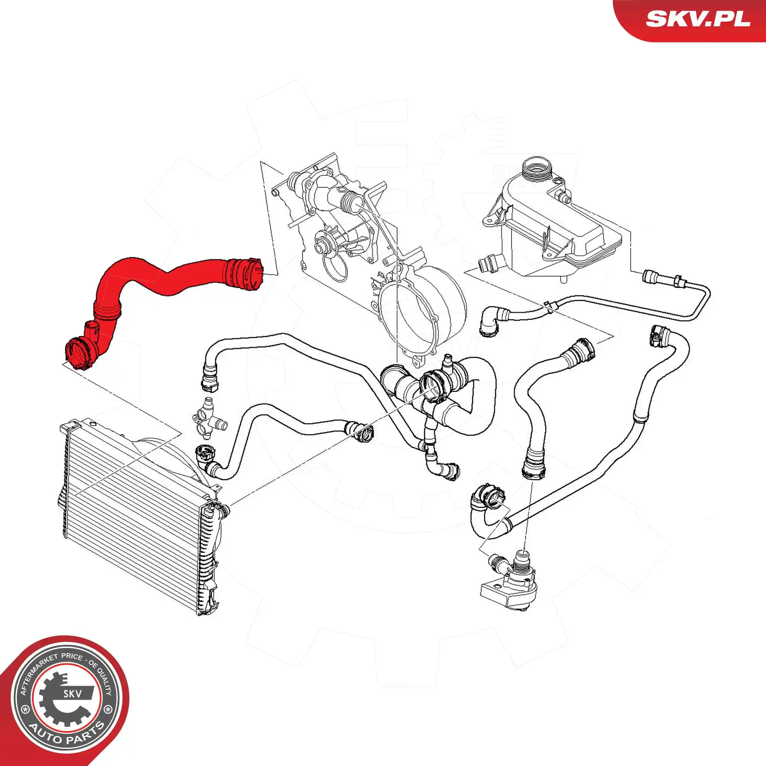 Radiator Hose 54SKV772