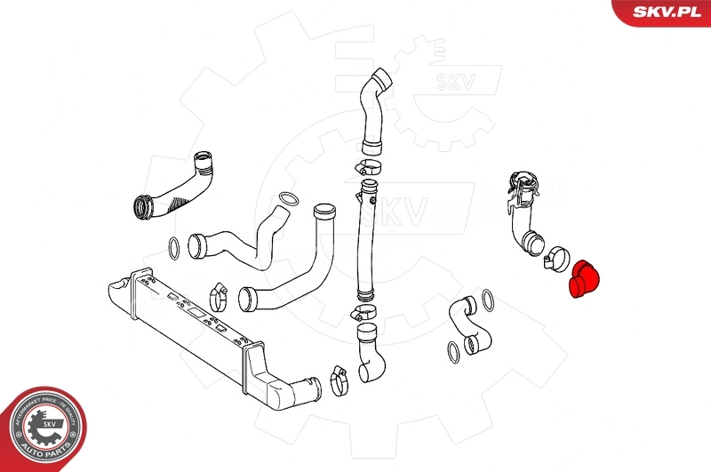 ESEN SKV 43SKV410 Charge Air Hose