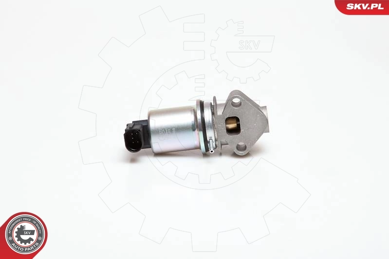 EGR Valve 14SKV029