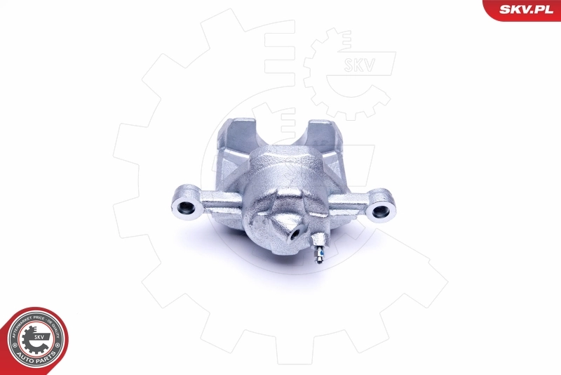 Brake Caliper 46SKV121