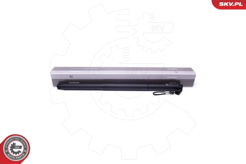 Electric Motor, tailgate 52SKV943