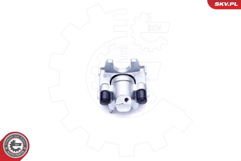 Brake Caliper 42SKV853