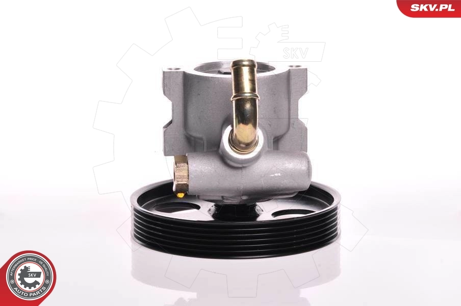 Hydraulic Pump, steering 10SKV155