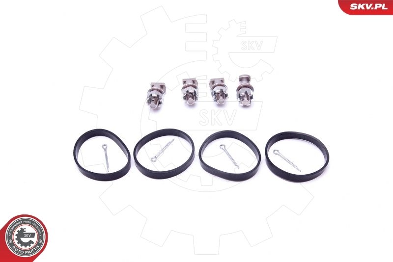 Repair Kit, intake manifold module 49SKV518