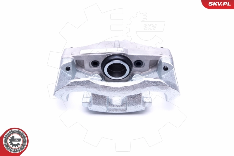 Brake Caliper 46SKV162