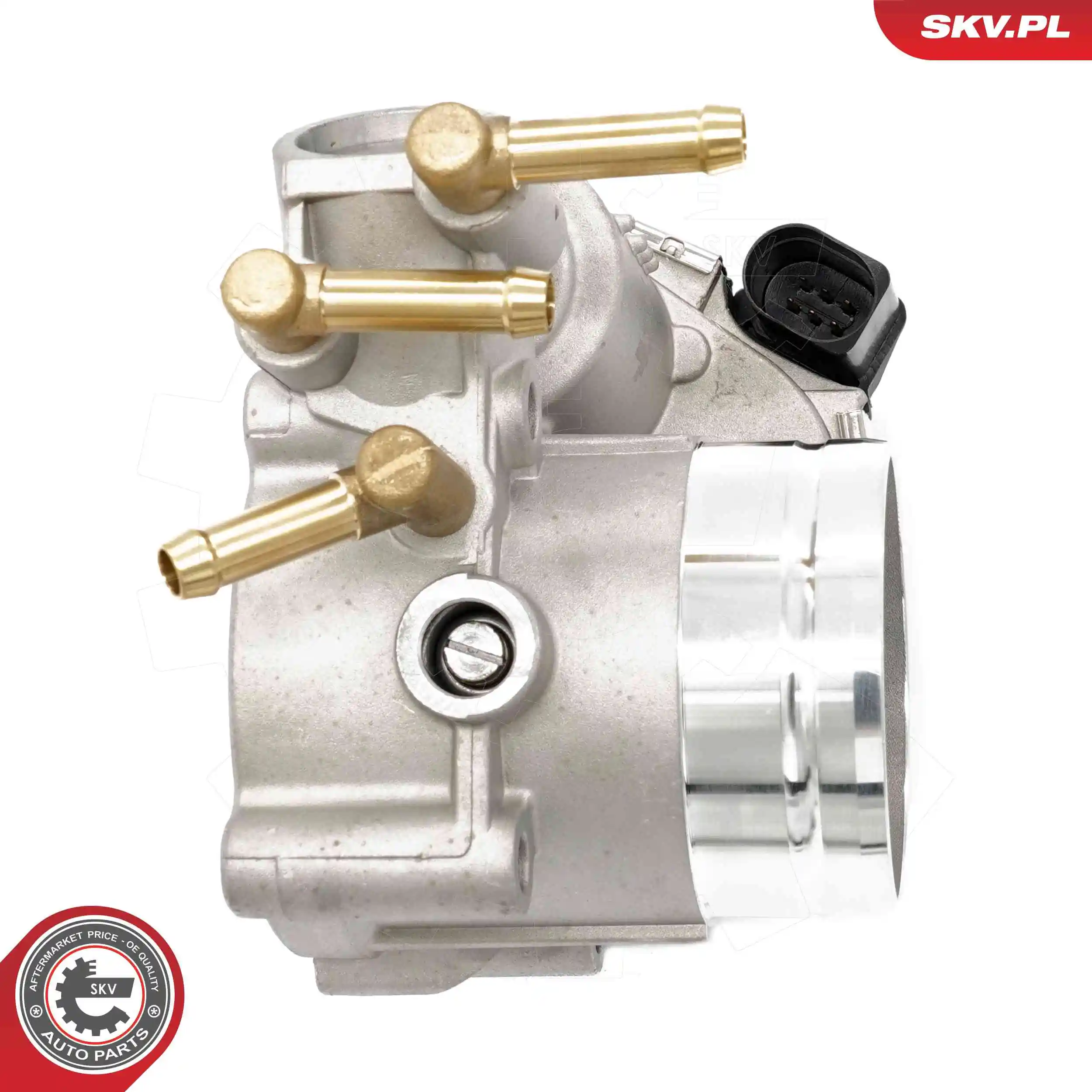 ESEN SKV 12SKV124 Throttle Body