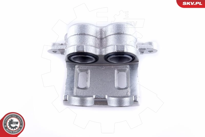 Brake Caliper 50SKV852