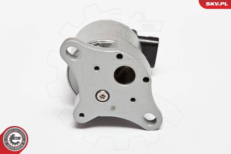 EGR Valve 14SKV042