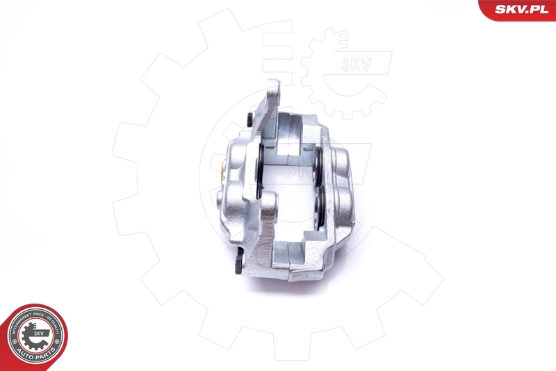 Brake Caliper 42SKV171