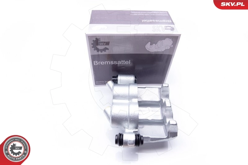 Brake Caliper 42SKV072
