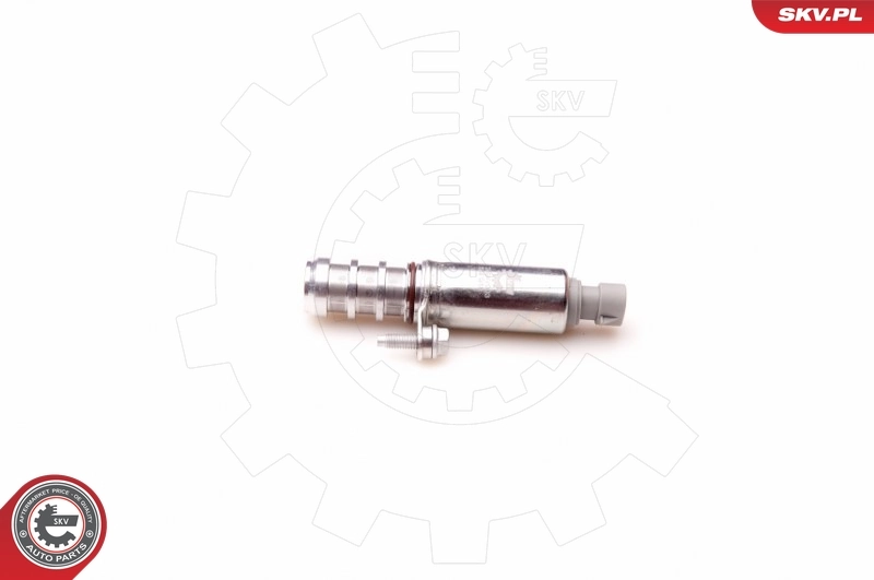 Control Valve, camshaft adjustment 39SKV003