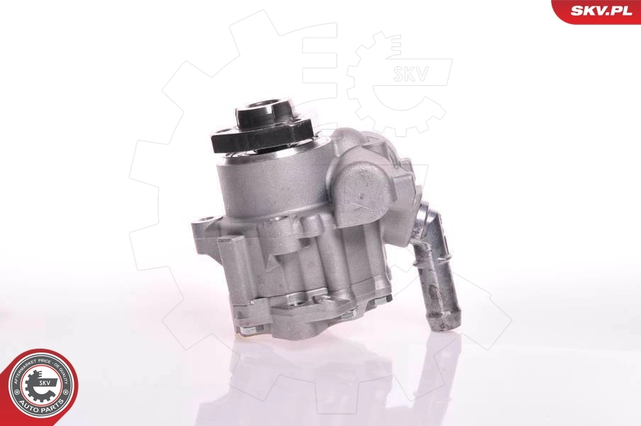 Hydraulic Pump, steering 10SKV166