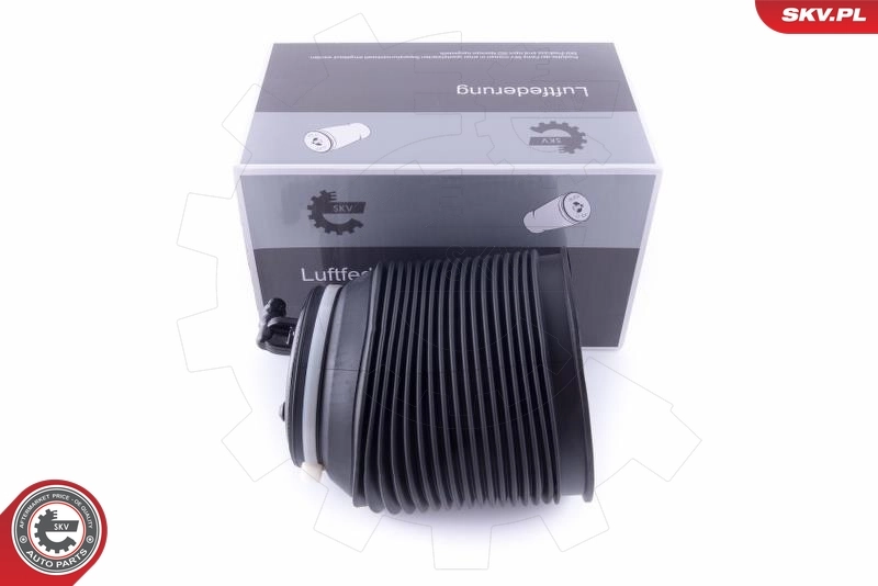 Air Spring, suspension 58SKV010