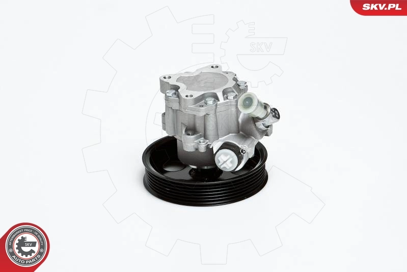 Hydraulic Pump, steering 10SKV022