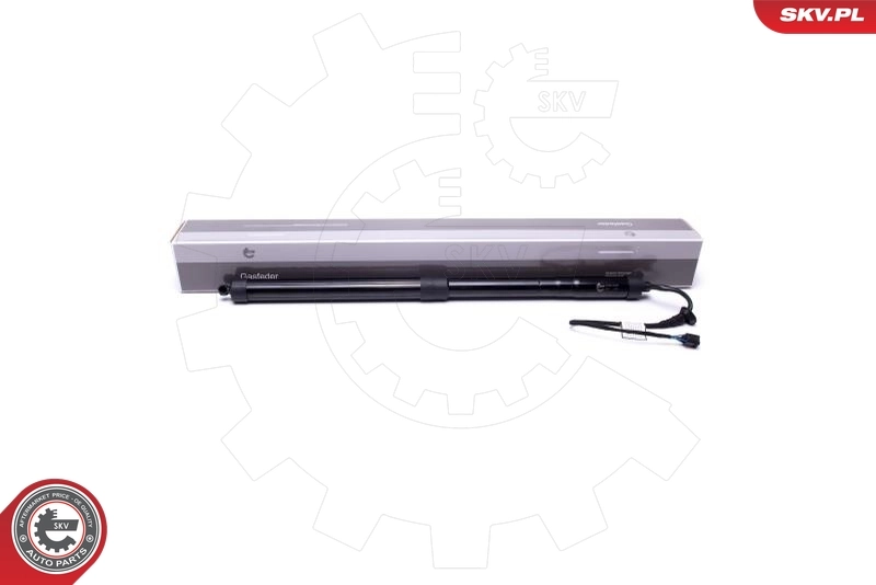 Electric Motor, tailgate 52SKV900