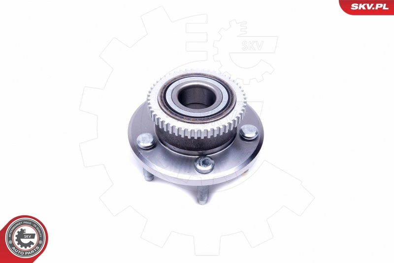 ESEN SKV 29SKV383 Wheel Bearing Kit