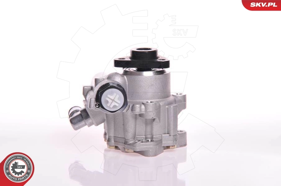 Hydraulic Pump, steering 10SKV102