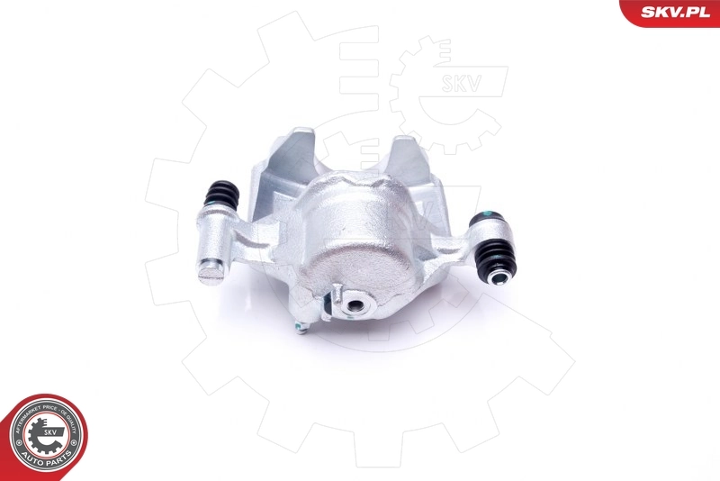 Brake Caliper 42SKV754