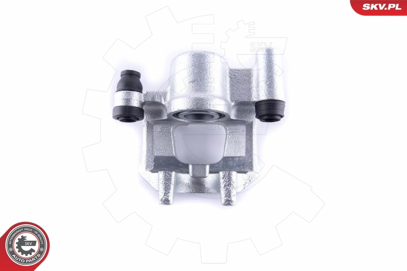 Brake Caliper 55SKV314