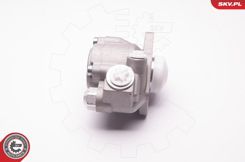 Hydraulic Pump, steering 1SKV0006