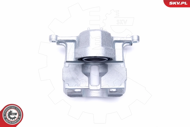 ESEN SKV 46SKV241 Brake Caliper