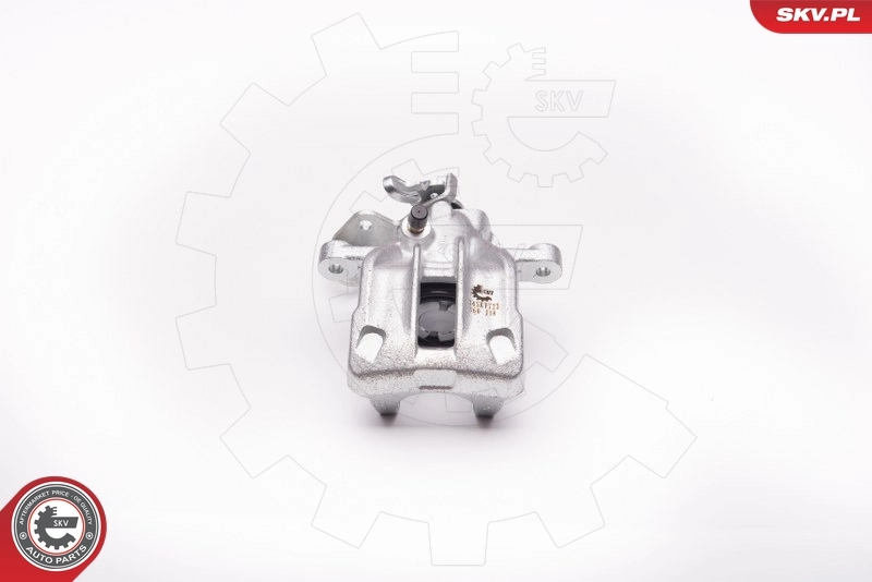 Brake Caliper 34SKV723