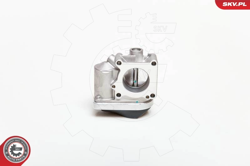 Throttle Body 12SKV030