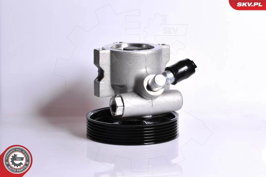 Hydraulic Pump, steering 10SKV138