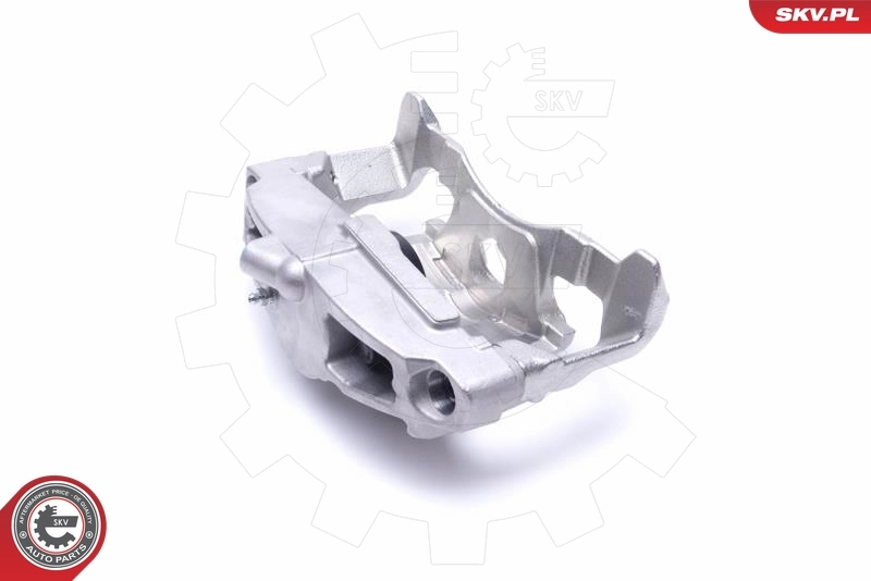 Brake Caliper 55SKV782