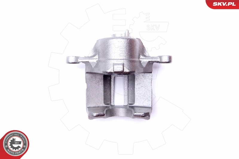 Brake Caliper 45SKV782
