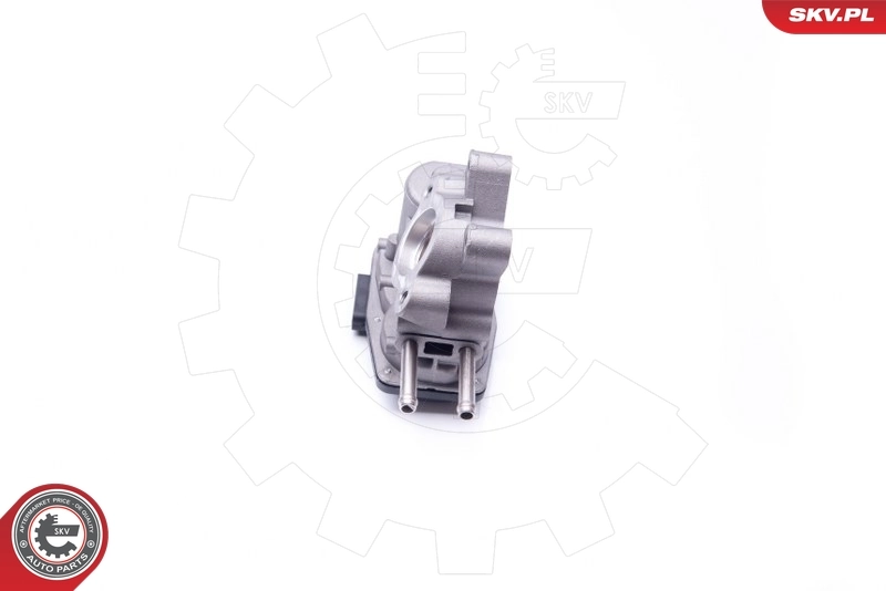EGR Valve 14SKV103