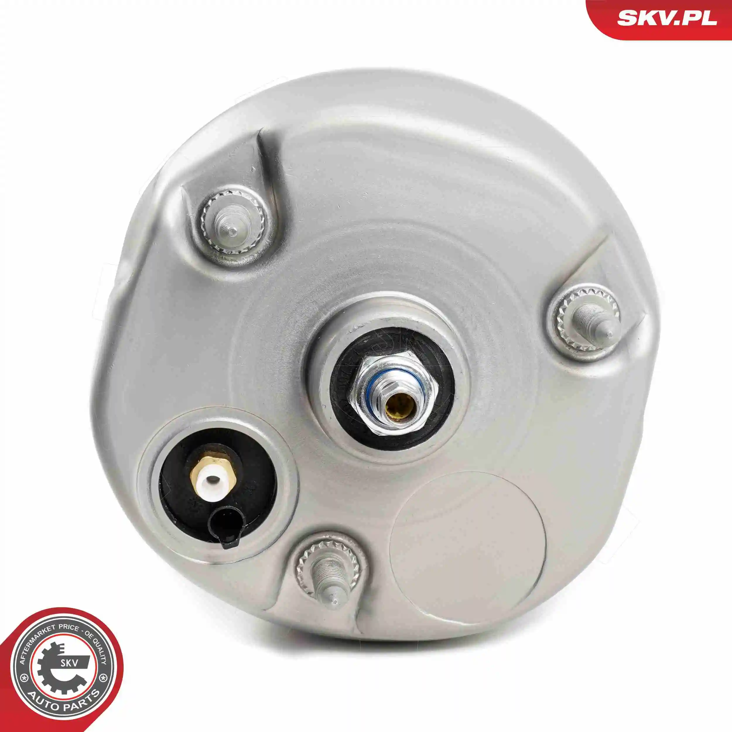 Air Suspension Strut 58SKV705