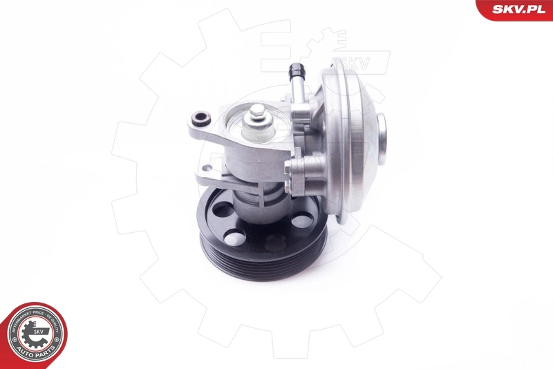 ESEN SKV 18SKV020 Vacuum Pump, braking system