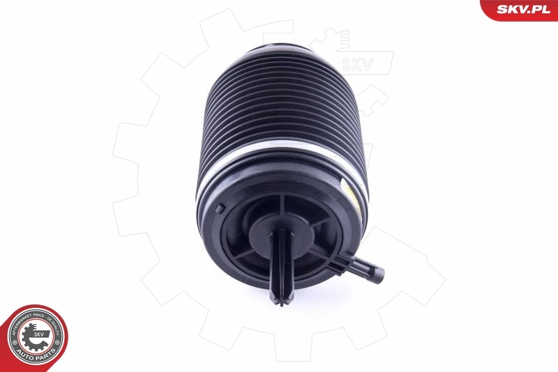 Air Spring, suspension 58SKV031