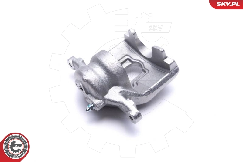 Brake Caliper 55SKV961