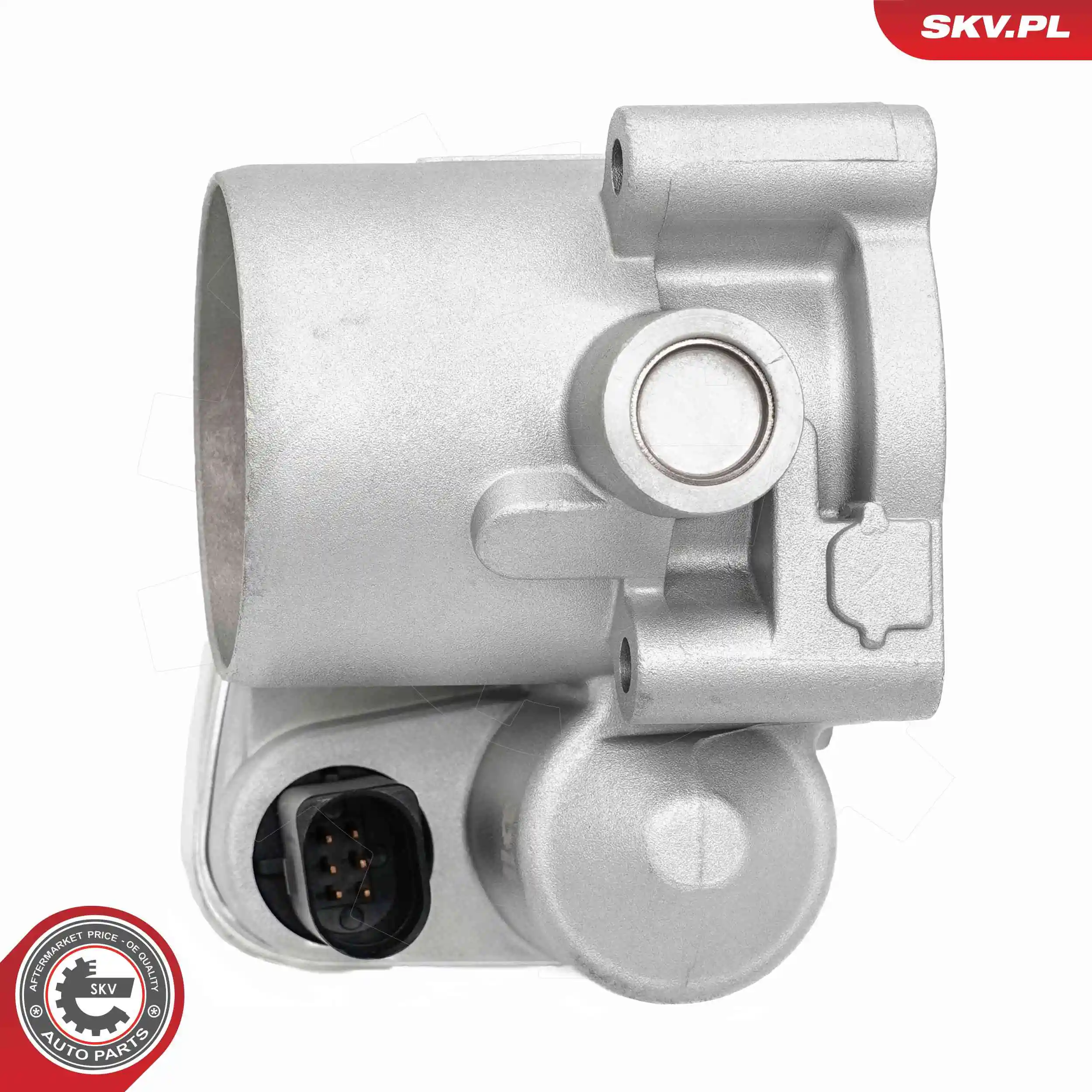 Throttle Body 12SKV146