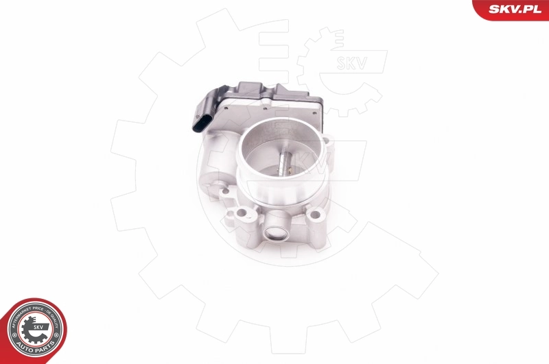 Throttle Body 12SKV060
