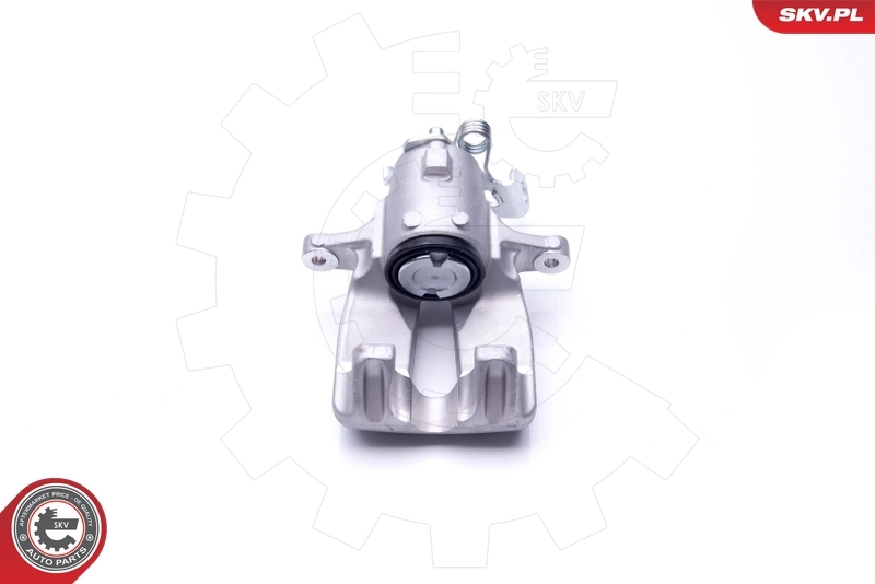 Brake Caliper 42SKV067