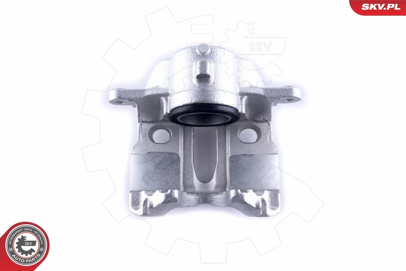 Brake Caliper 55SKV171