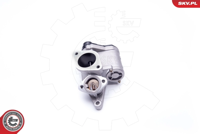 EGR Valve 14SKV168