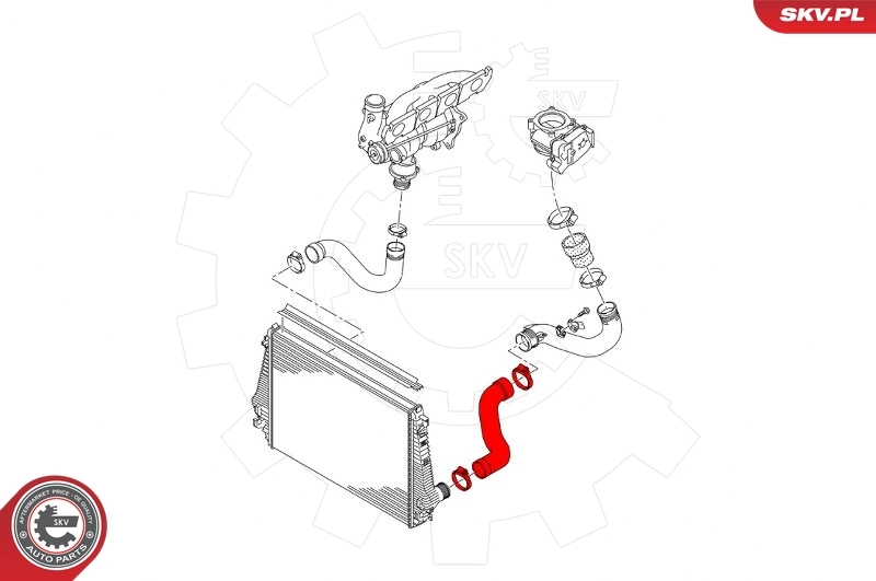 Charge Air Hose 43SKV413