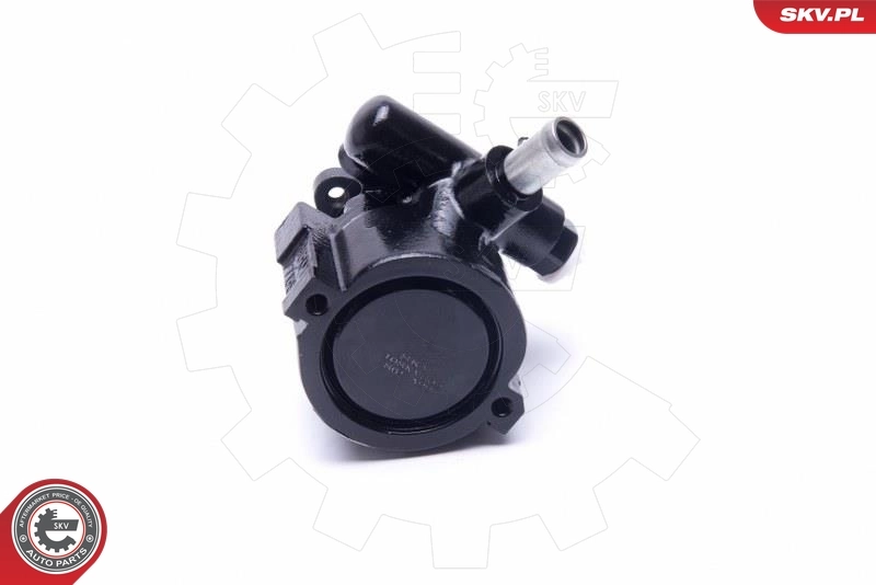 Hydraulic Pump, steering 10SKV302