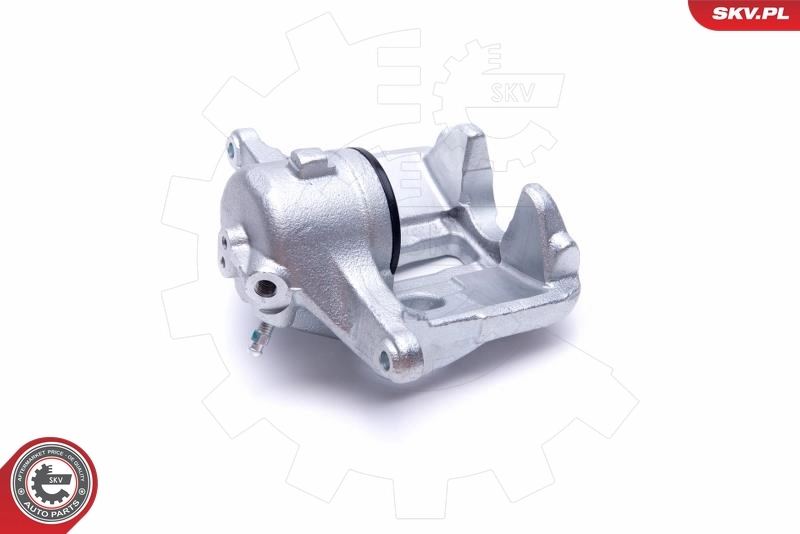 Brake Caliper 55SKV641
