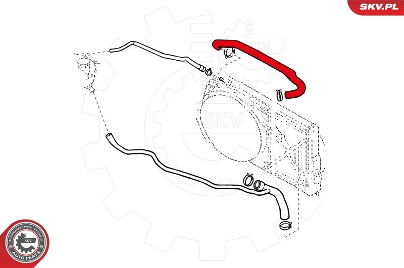 Radiator Hose 24SKV318