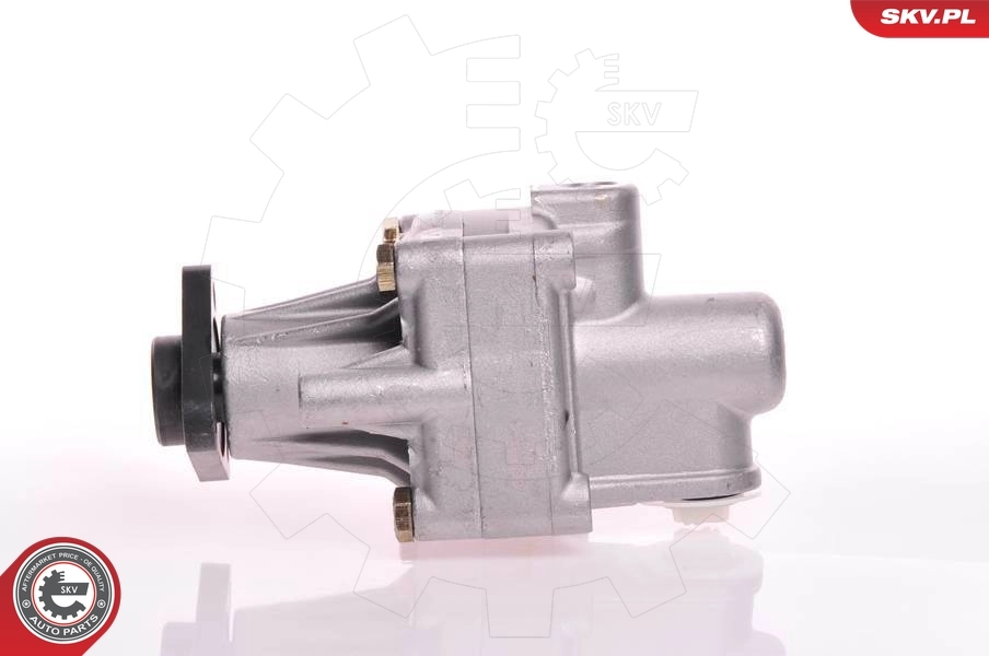 Hydraulic Pump, steering 10SKV125