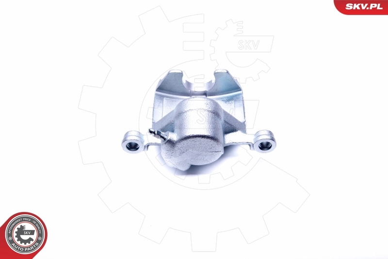 Brake Caliper 42SKV773