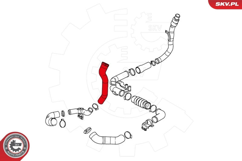 Charge Air Hose 24SKV021