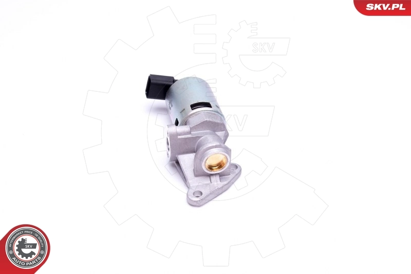 EGR Valve 14SKV208